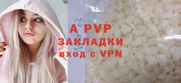 ПСИЛОЦИБИНОВЫЕ ГРИБЫ Козловка