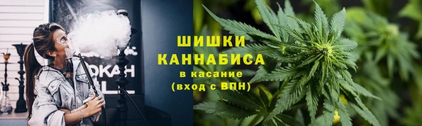 ПСИЛОЦИБИНОВЫЕ ГРИБЫ Козловка