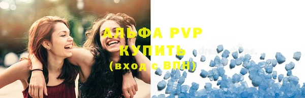ПСИЛОЦИБИНОВЫЕ ГРИБЫ Козловка