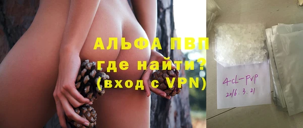 ПСИЛОЦИБИНОВЫЕ ГРИБЫ Козловка