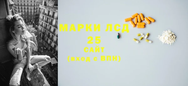 ПСИЛОЦИБИНОВЫЕ ГРИБЫ Козловка