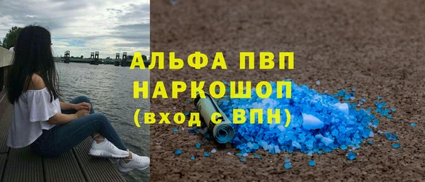ПСИЛОЦИБИНОВЫЕ ГРИБЫ Козловка