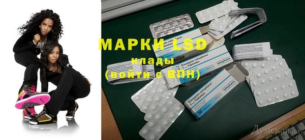 ПСИЛОЦИБИНОВЫЕ ГРИБЫ Козловка